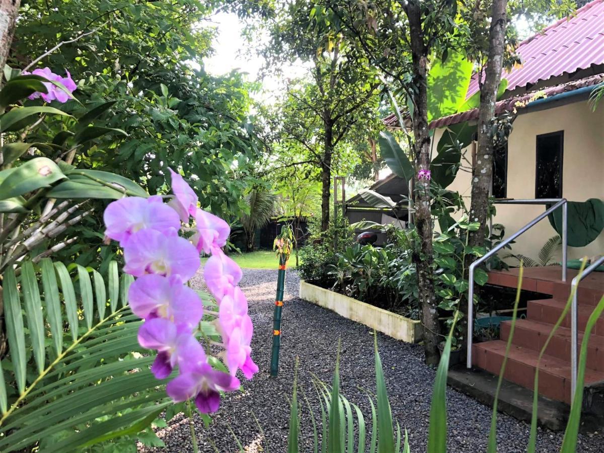 Green Mango Bungalows Kampot Eksteriør billede