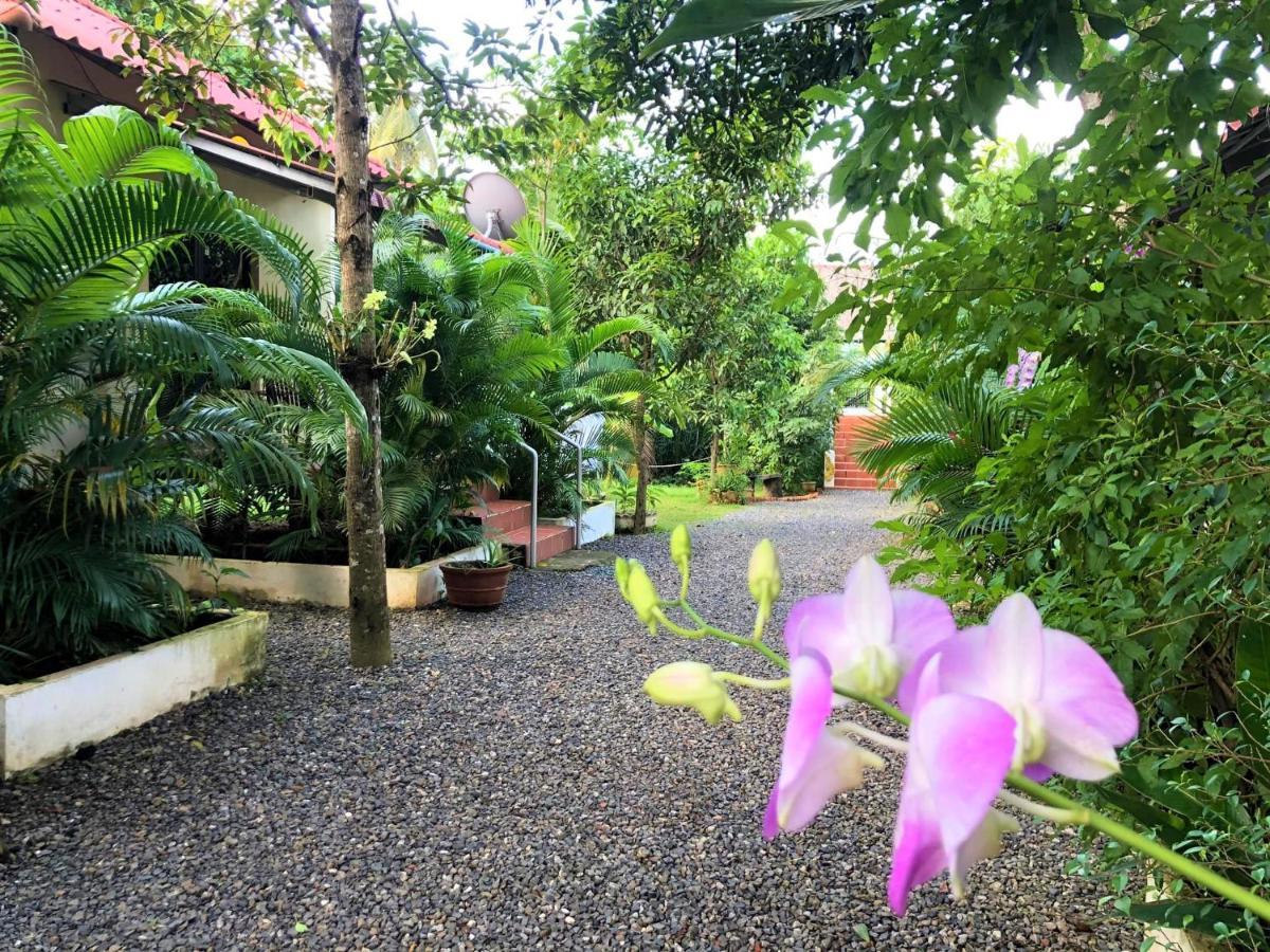 Green Mango Bungalows Kampot Eksteriør billede