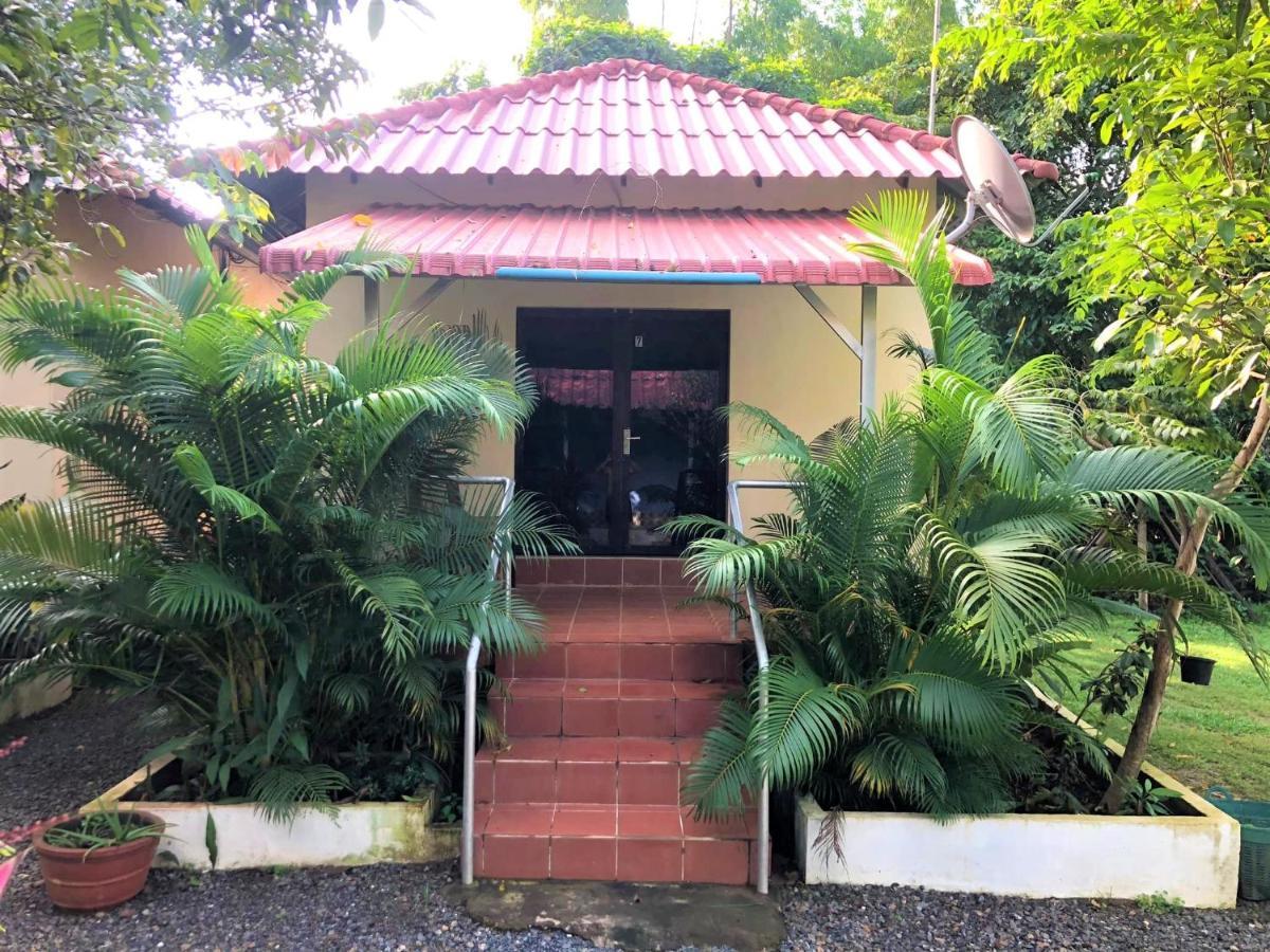 Green Mango Bungalows Kampot Eksteriør billede