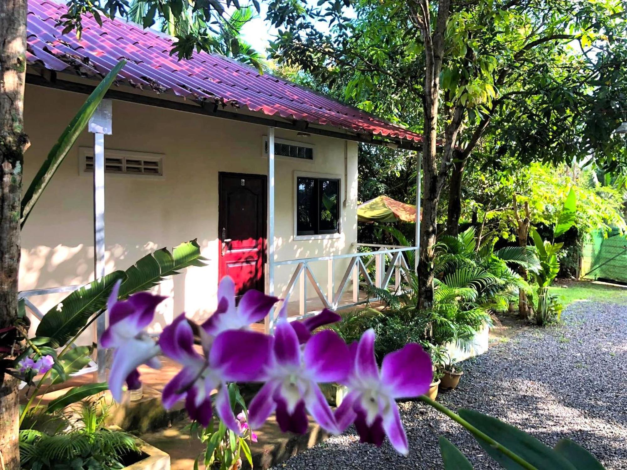 Green Mango Bungalows Kampot Eksteriør billede