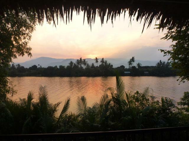 Green Mango Bungalows Kampot Eksteriør billede